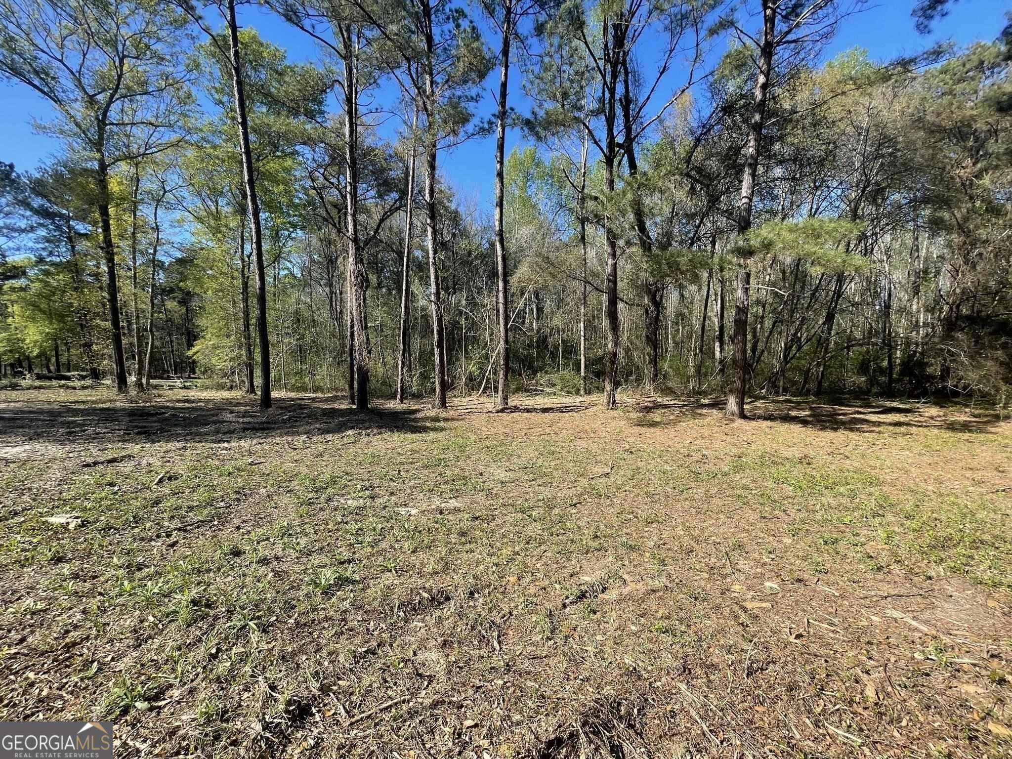 a view of outdoor space with trees