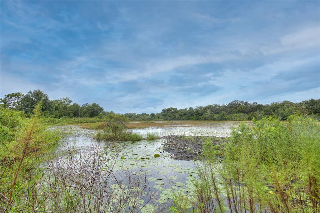 a view of lake with green space