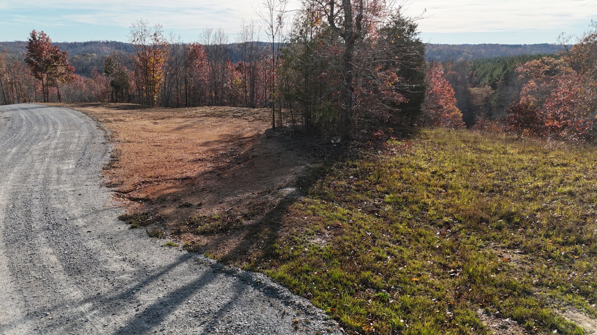 a view of a yard