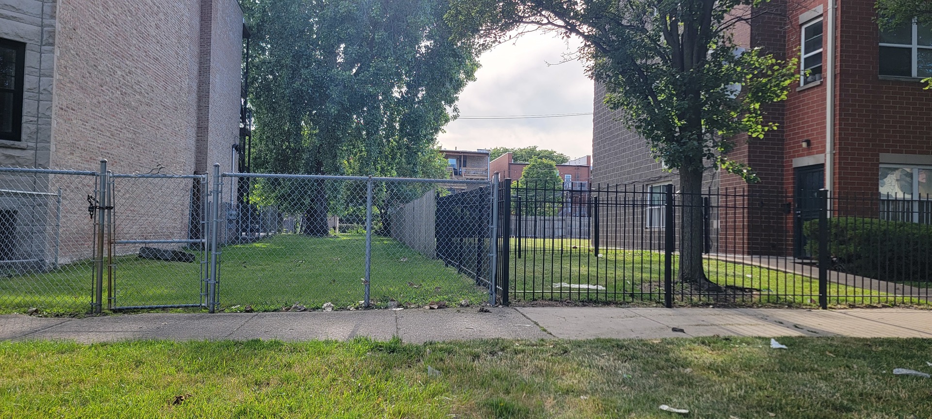 a view of a backyard