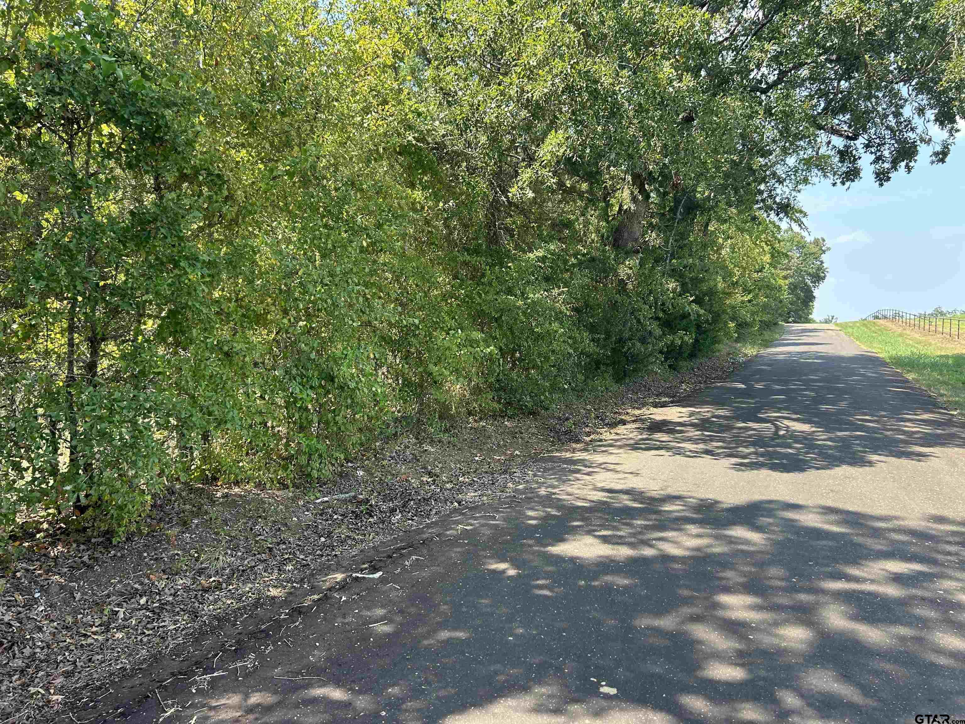 a view of a dirt road with trees