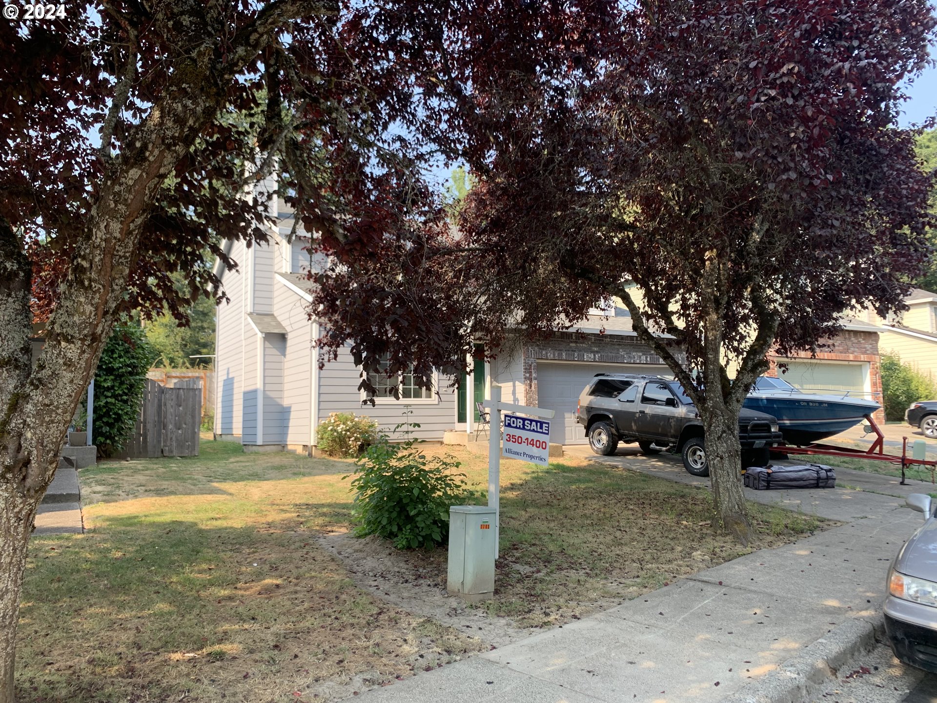 a view of a yard with a large tree