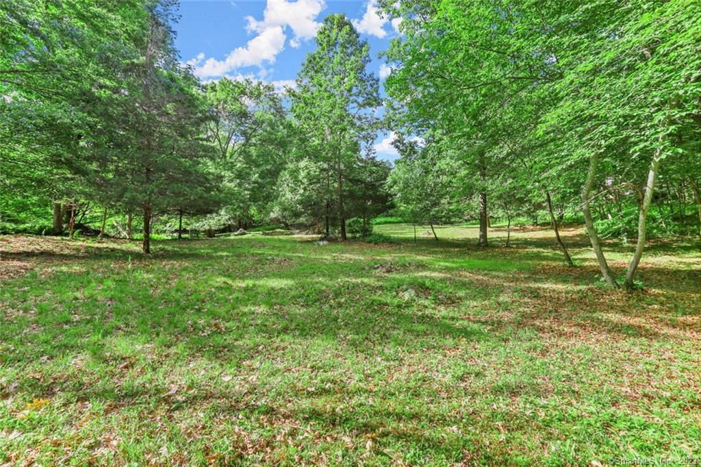 Lower Meadow looking North toward Perc Test pit area.