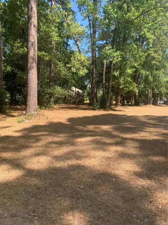 a view of a house with a yard and large trees