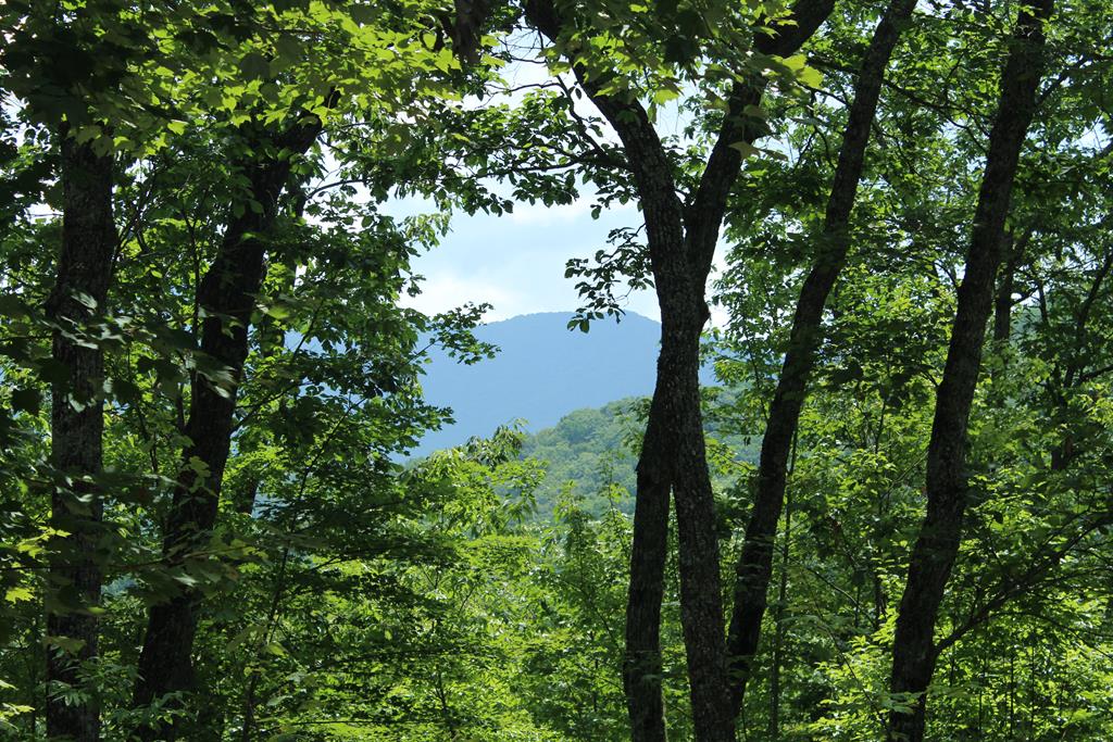 a view of mountain view with lots of trees