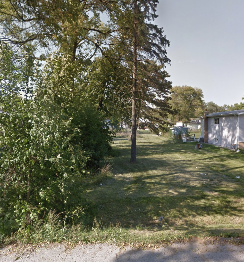 a view of a tree in a yard next to a building