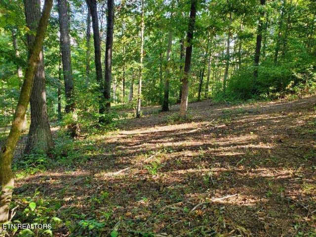 $50,000 | Grove Lane