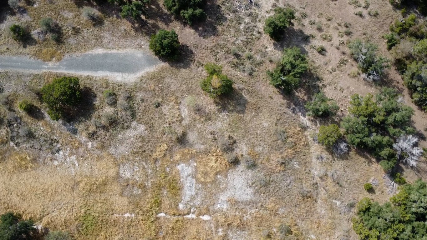 a view of a dry yard with trees