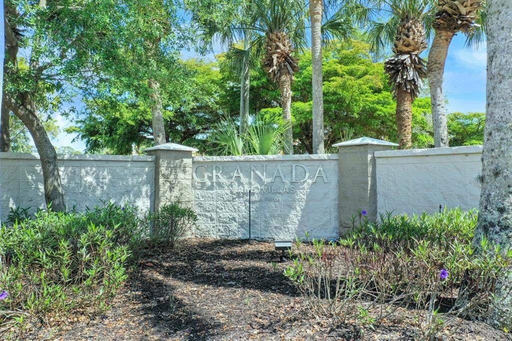 a view of garden with plants