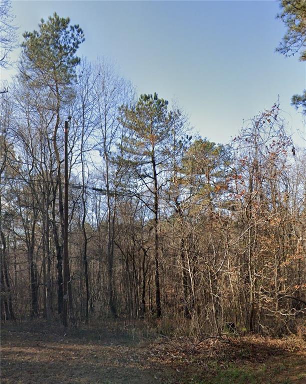 a view of a yard with large trees