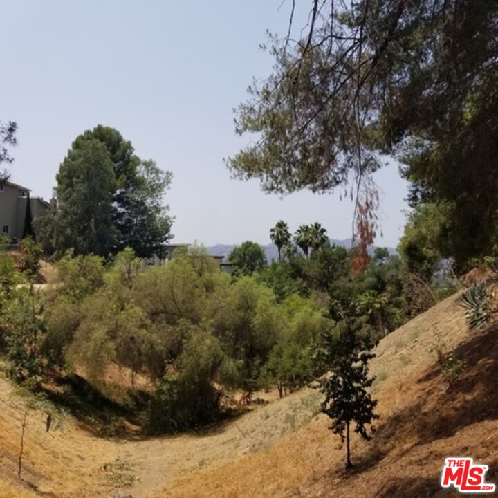 a view of a yard with a tree