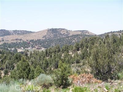 a view of a mountain in the distance in a field