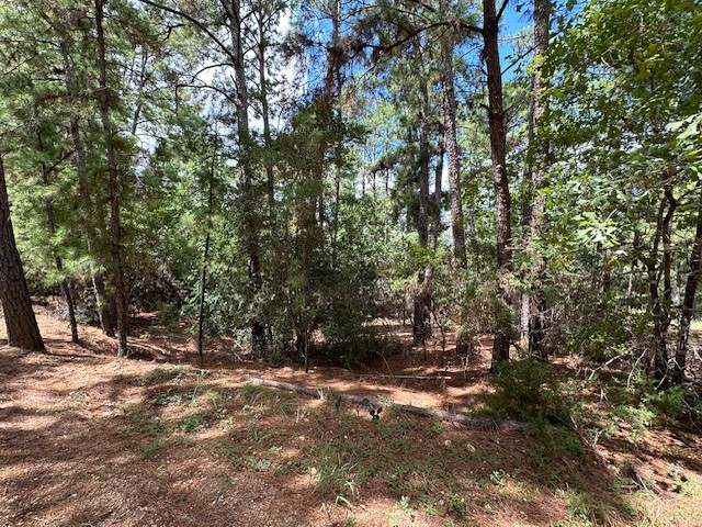 a view of outdoor space with trees