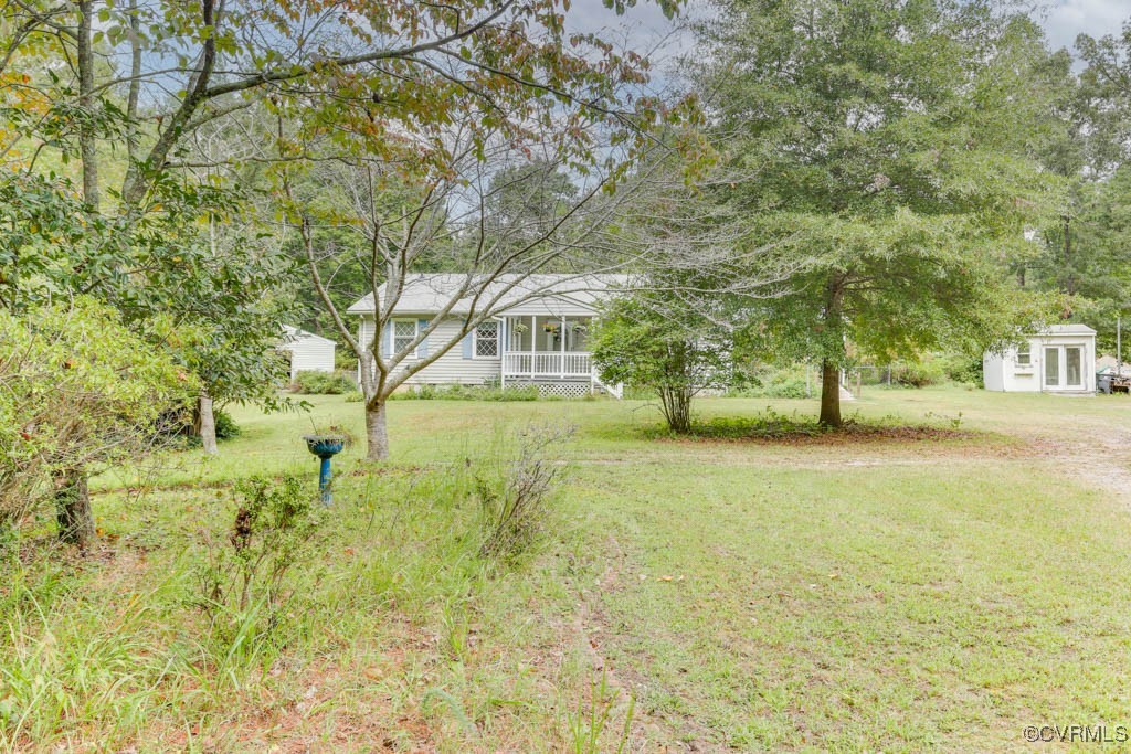 a view of yard and tree