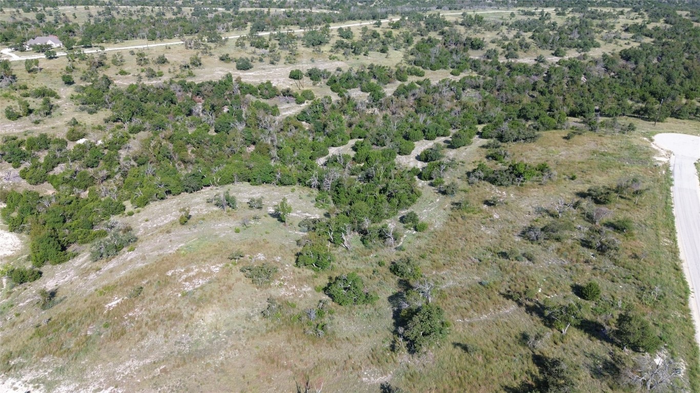 a view of a dry yard with trees