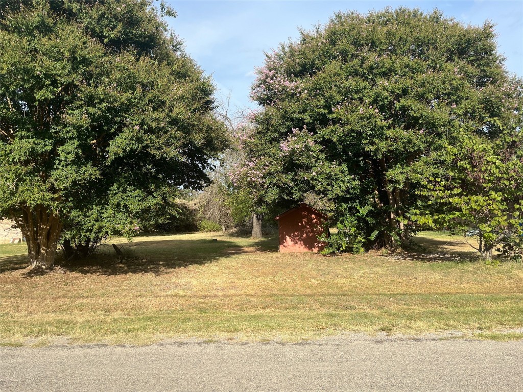 a view of ocean with trees