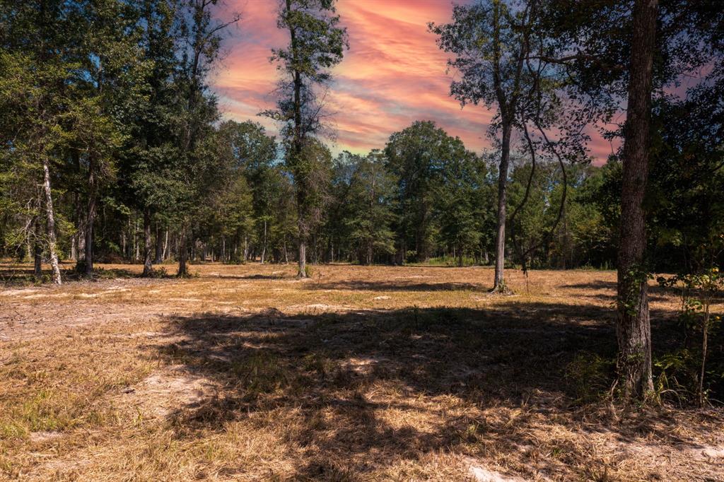 Your Texas estate is ready for construction