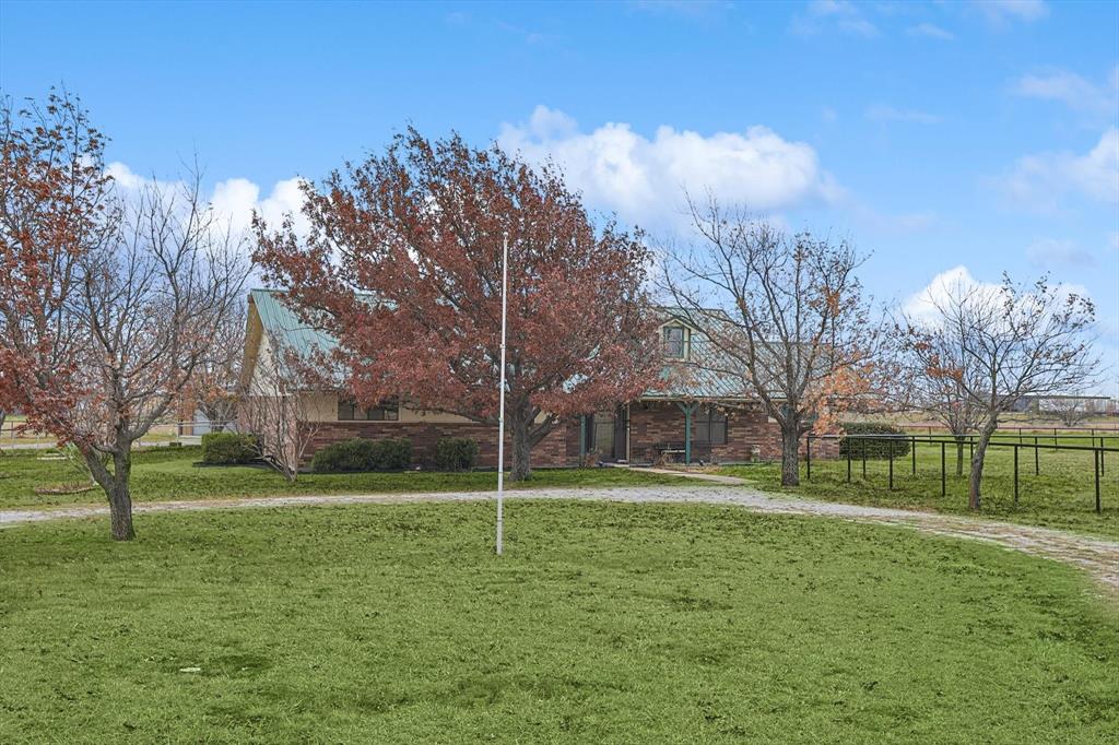 a view of a tree in a park