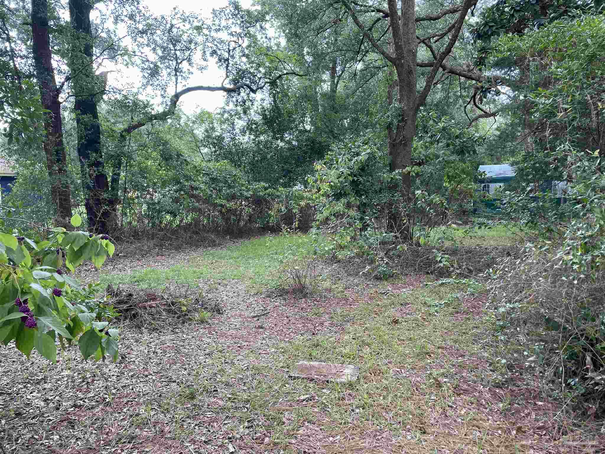 a view of a garden with a tree