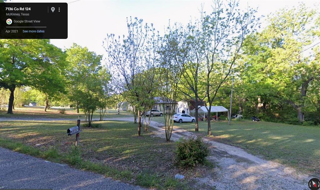 a view of a park with large trees