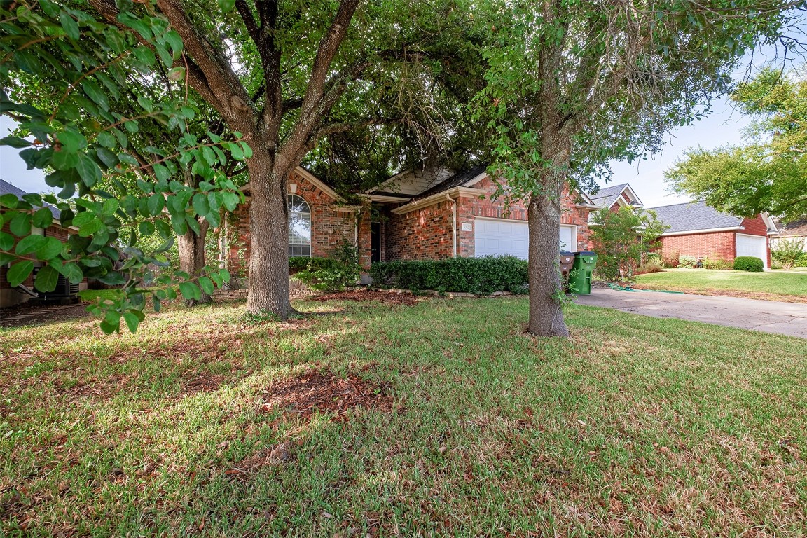 a tree in the garden of a house