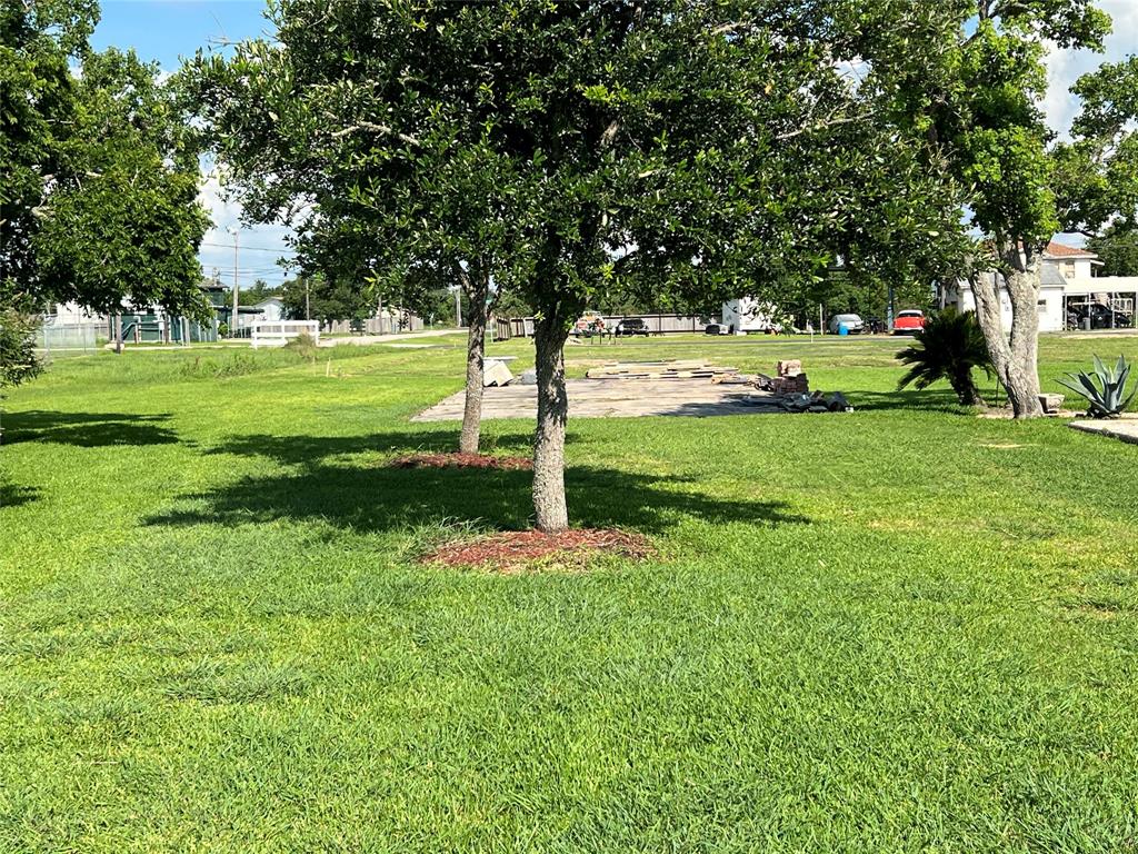 a view of a park with trees and plants