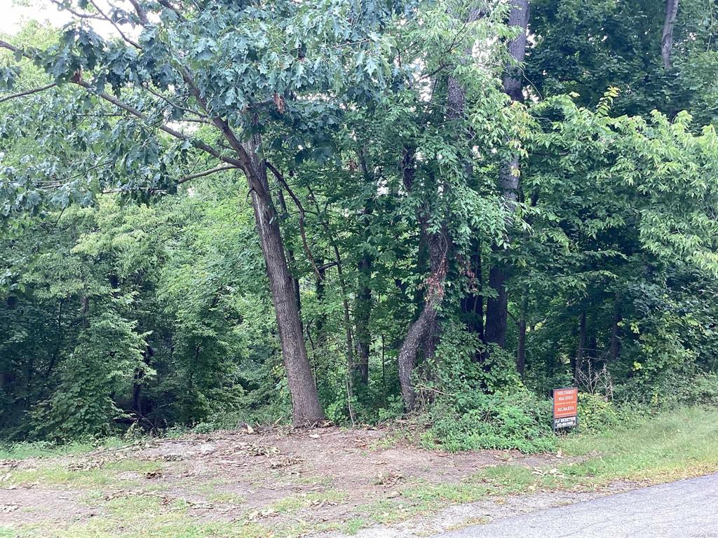 a view of outdoor space and yard