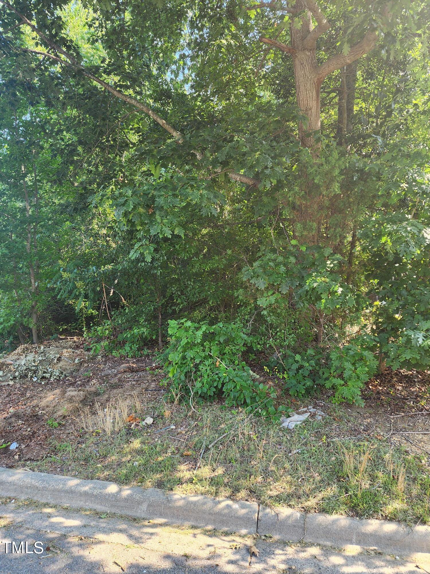 a view of a yard with plants and trees