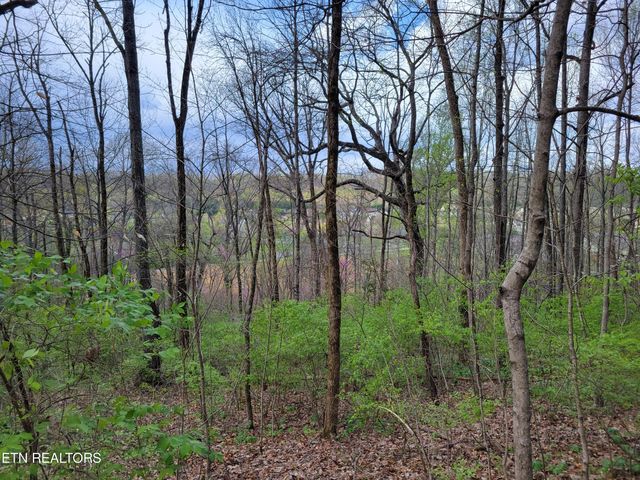 $140,000 | 16 Rifle Range Drive | Knoxville