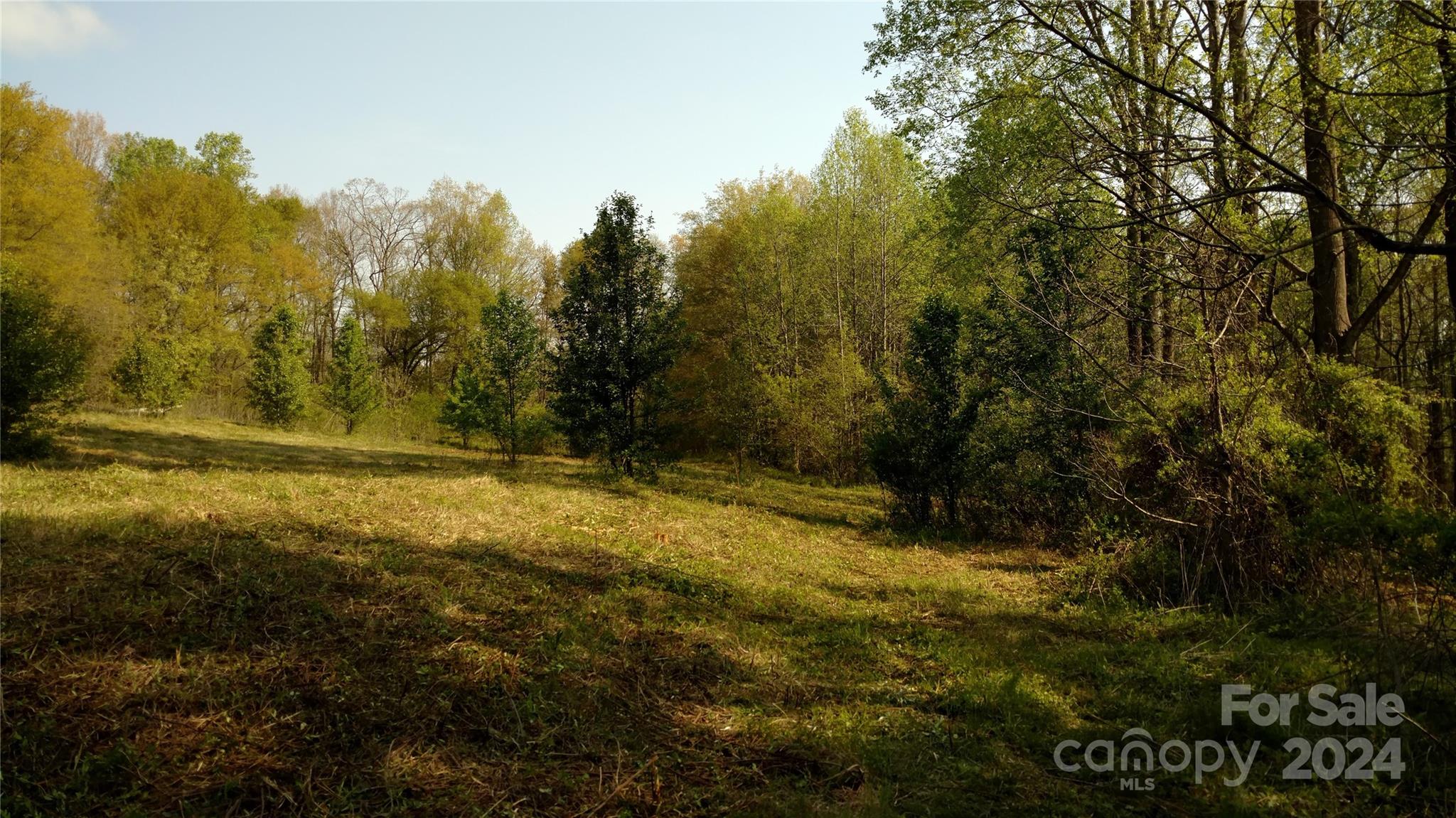 a view of outdoor space with trees