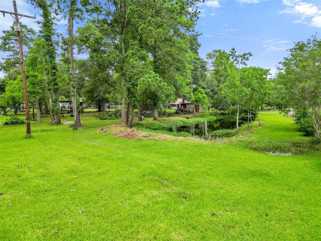 a view of a park with trees and grass