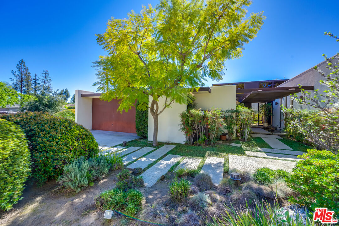 a view of a backyard with plants