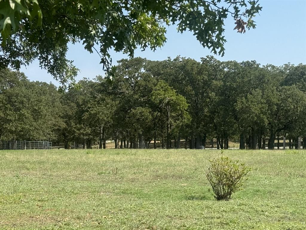 a house view with a garden