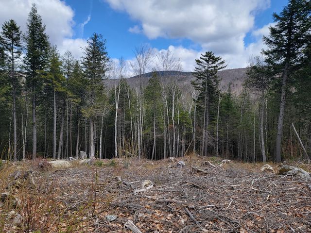 $119,000 | 1007 Apres Way | Carrabassett Valley