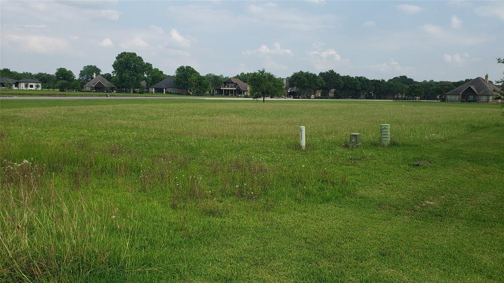 a view of a field with trees in the background