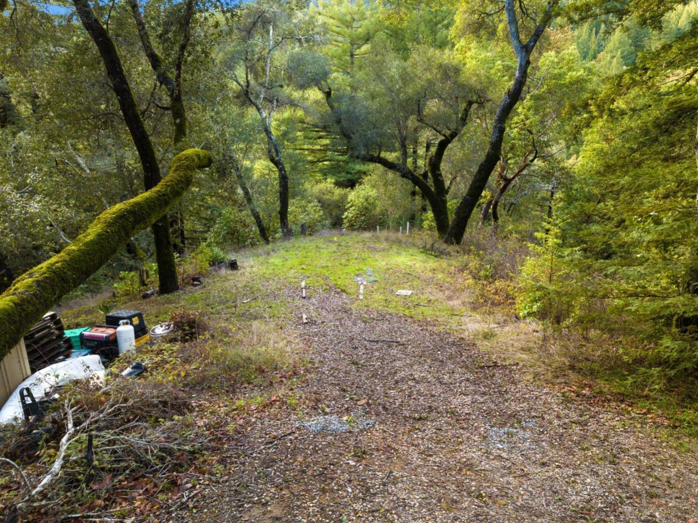 a view of yard