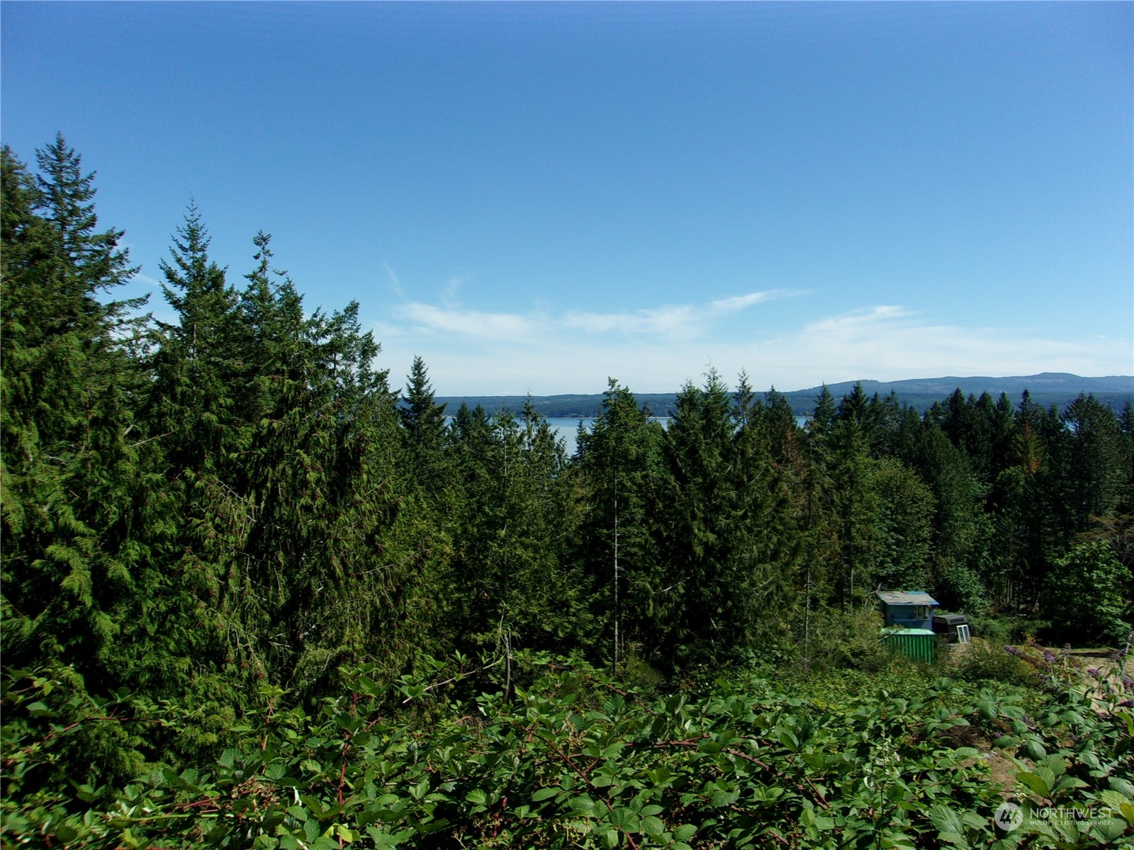 a view of a city with lush green forest