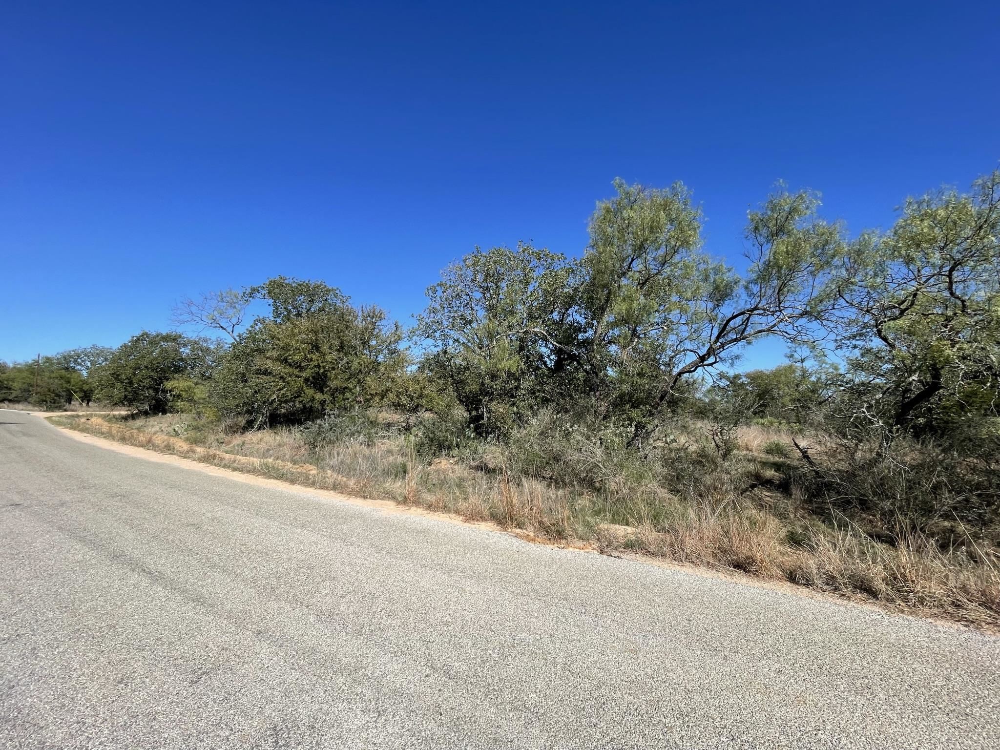 a view of a rural road with plants