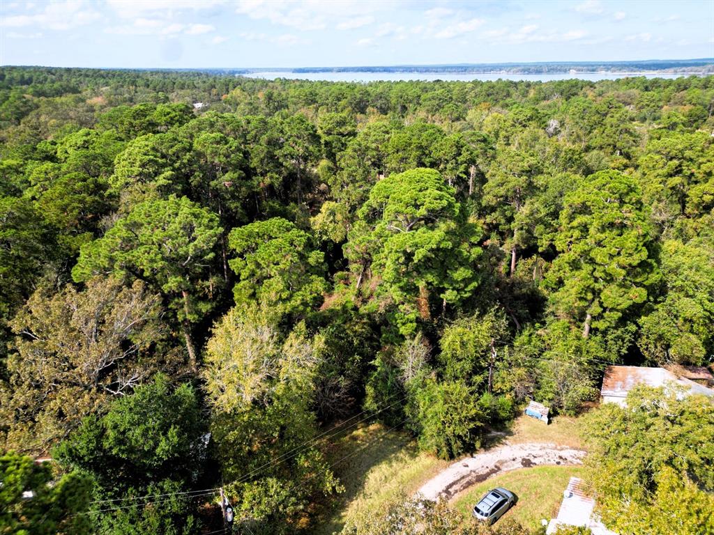 a view of a large yard with lots of bushes