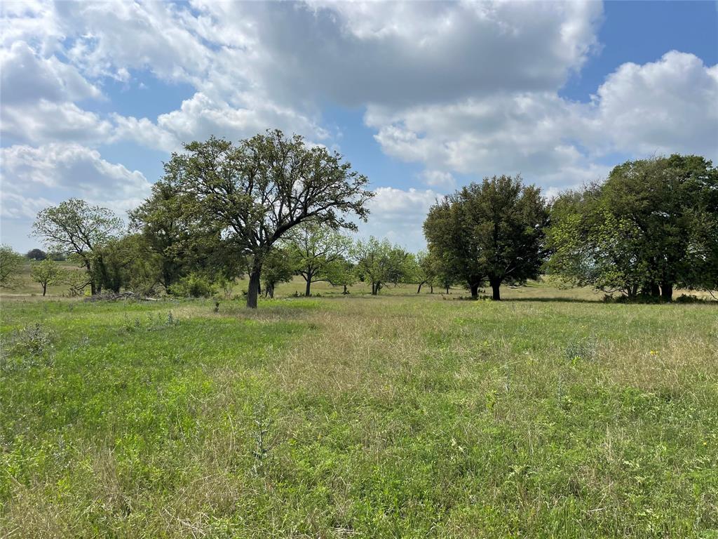 a view of outdoor space with green field and trees