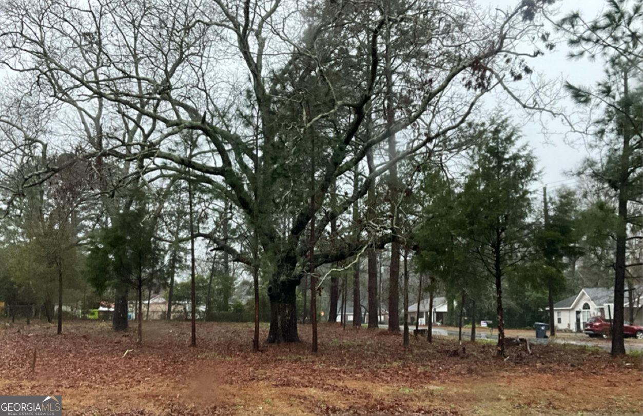 a view of outdoor space with trees