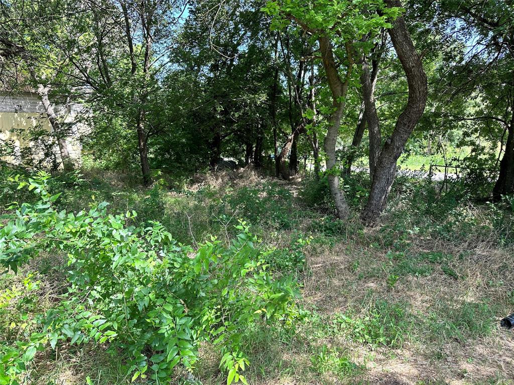 a view of a lush green forest