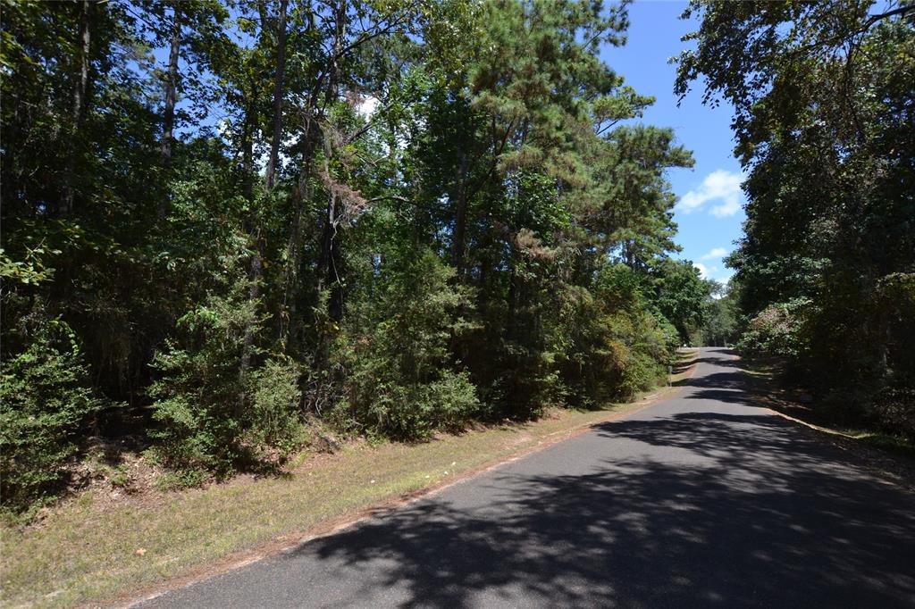 a view of a road with plants and trees