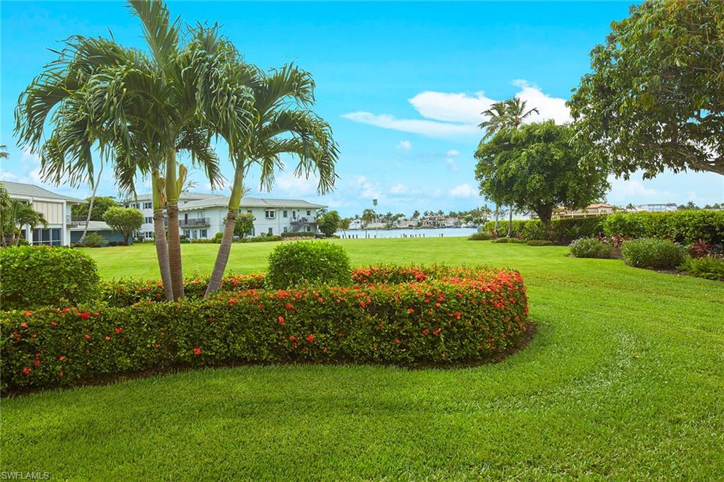 a view of a park and trees with a big yard