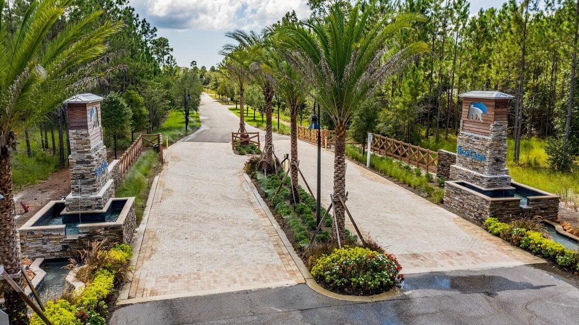 a view of a garden with pathway