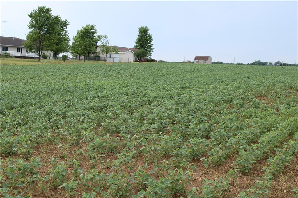 a view of a green field with lots of bushes