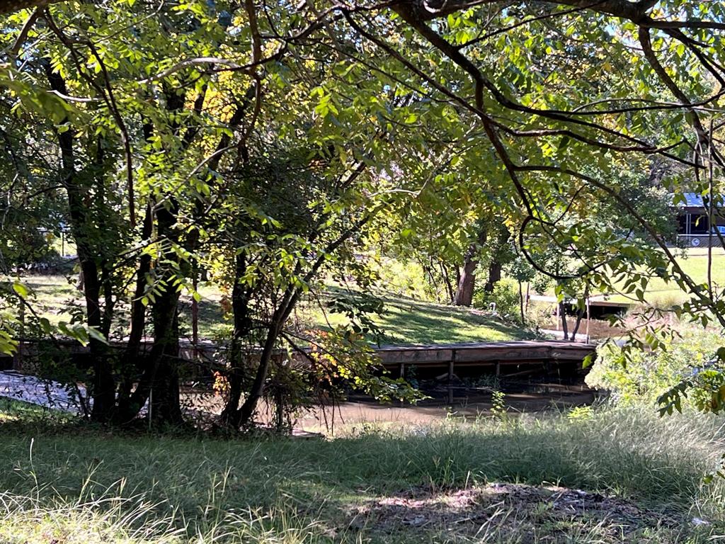 a view of back yard with green space