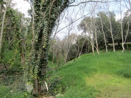 a view of a green field with a tree