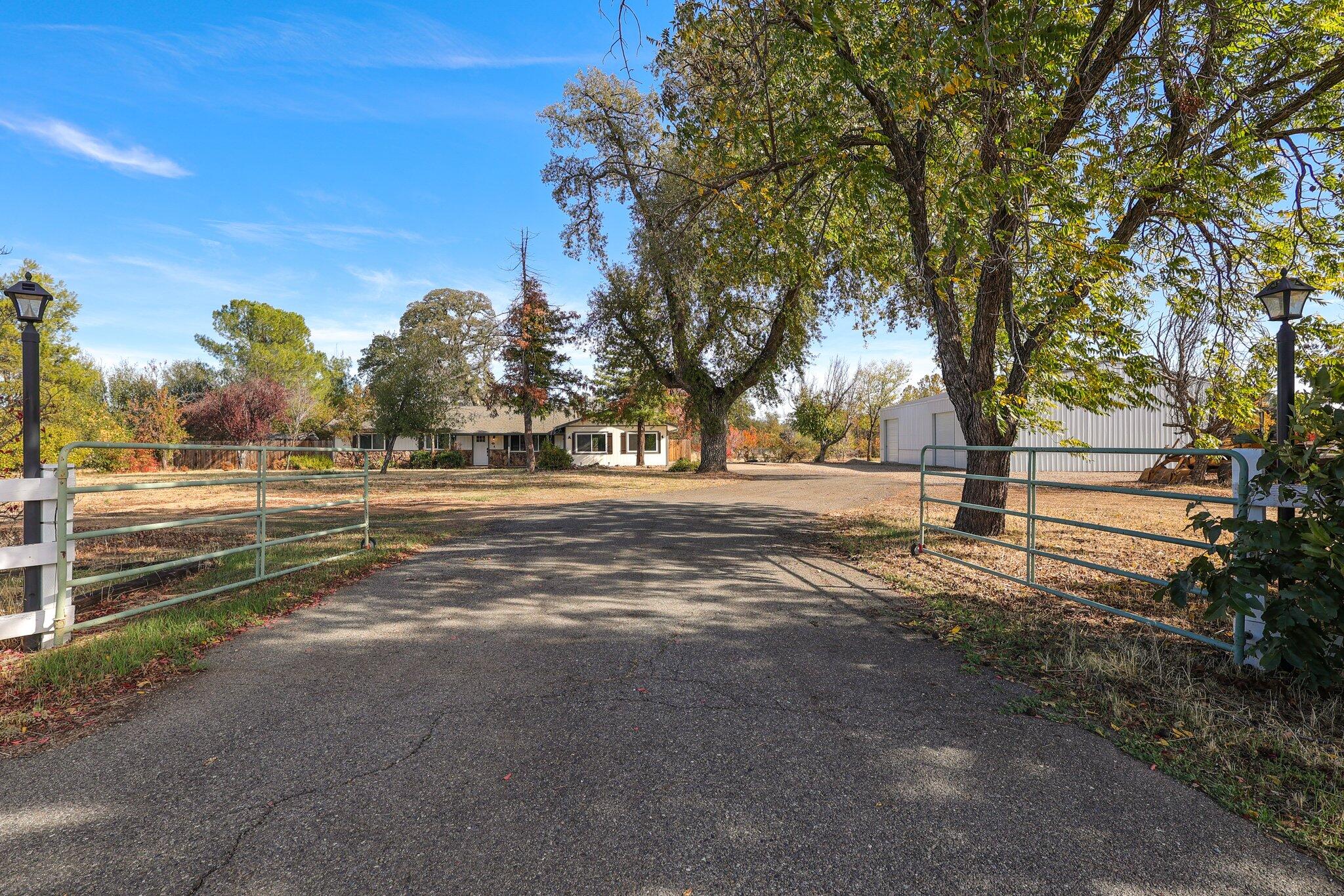 a view of road with view of trees