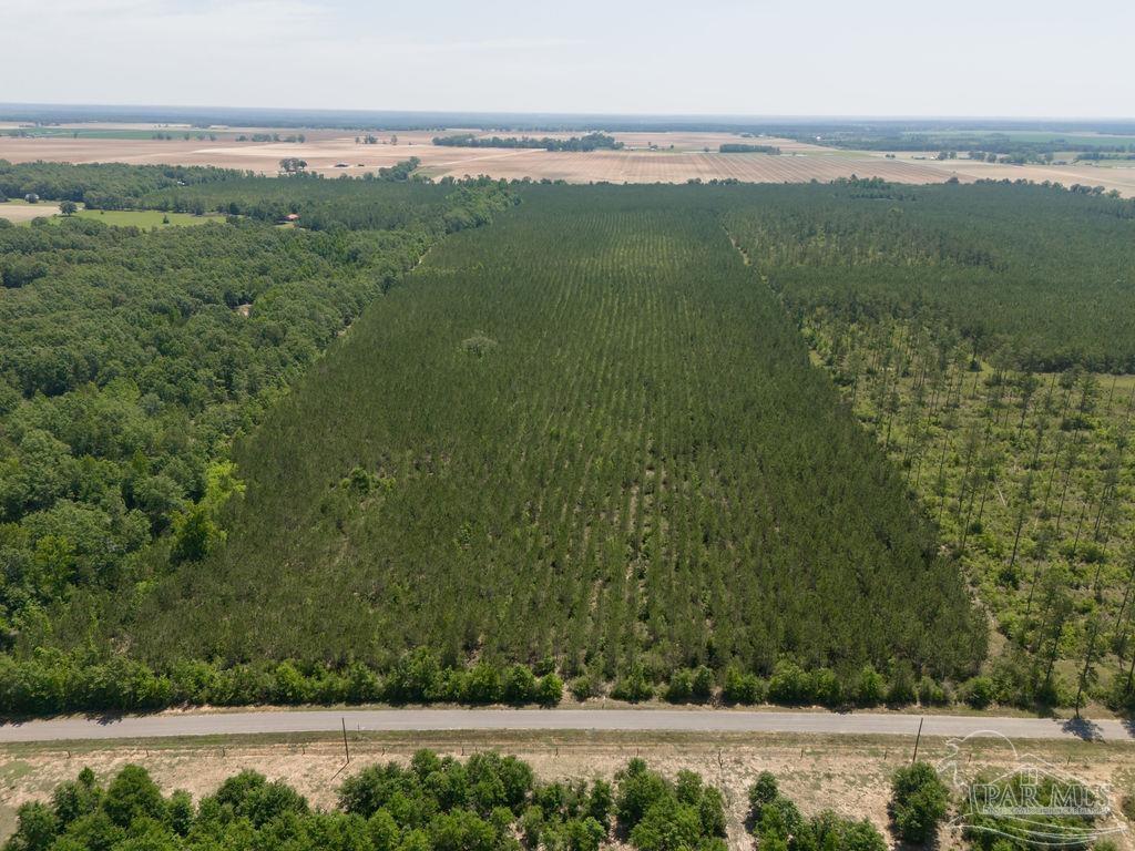 a view of a field with an ocean